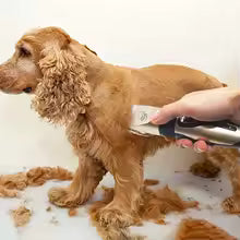 Pet Hair Trimmer Kit, Electric Clippers, Professional Grooming, Dogs and Cats.